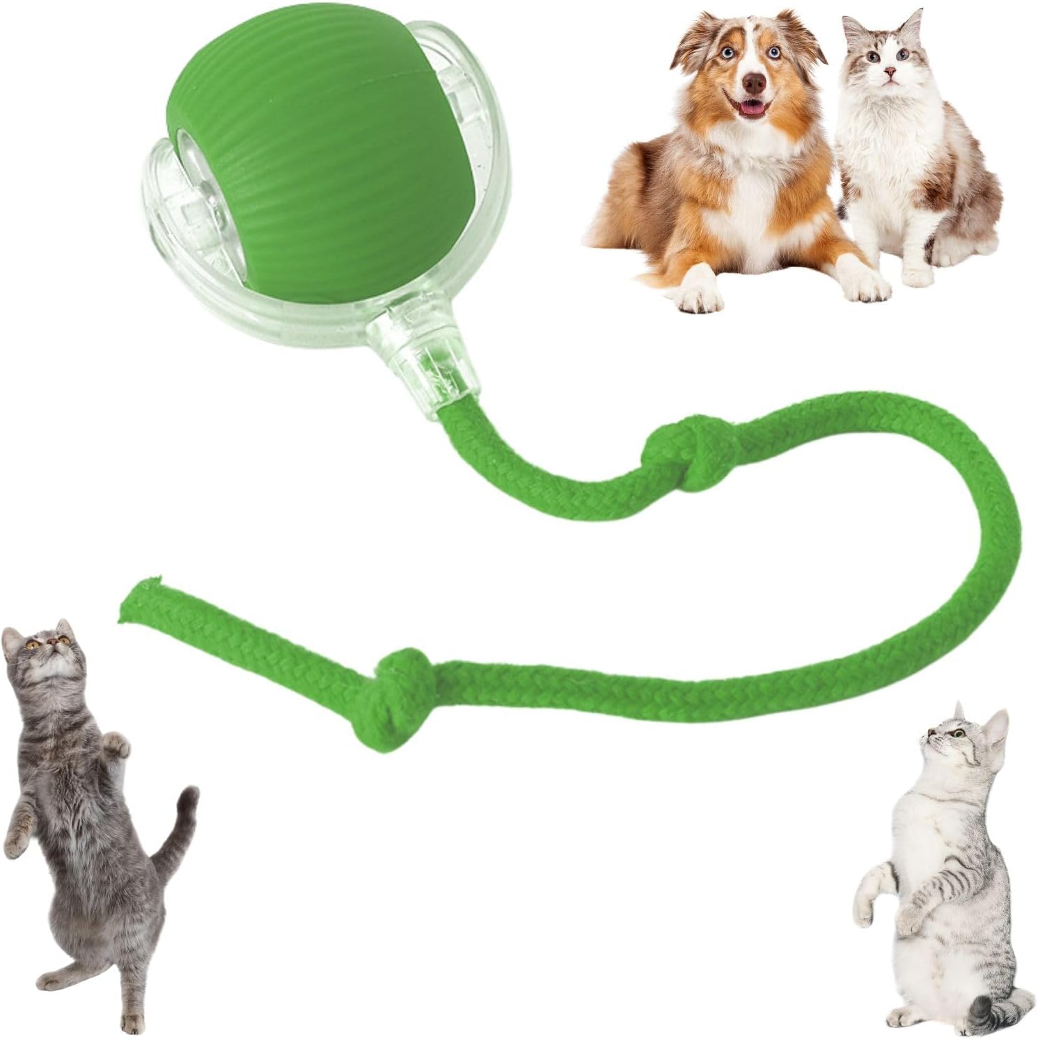 Spoink 1.0 - pelota con cuerda interactiva